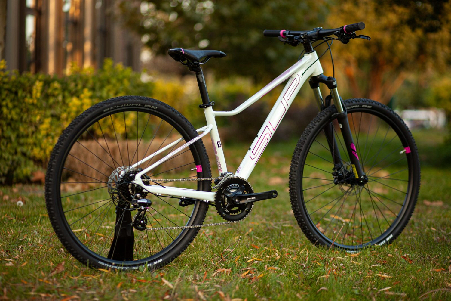Superior XC 819 W 2024 Gloss White Violet Purple