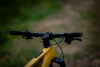 Электровелосипеды с двигателем Bosch, Yamaha, Shimano Superior iXF 9.2 2025 Matte Mustard Артикул 801.2025.79014, 801.2025.79016, 801.2025.79015