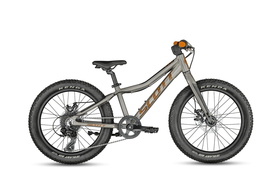 Для мальчиков с 6-ти до 7-ми лет Scott Roxter 20 Raw Silver Артикул ES290769.