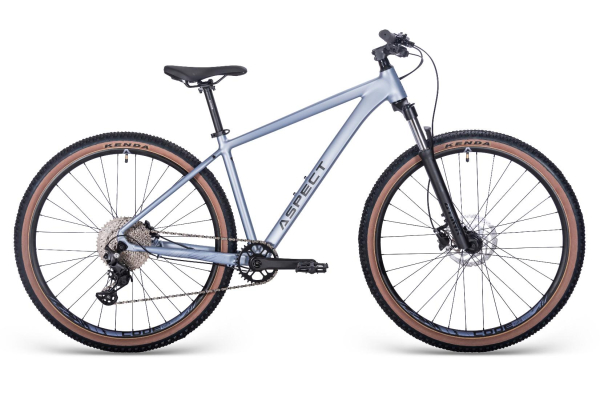 Aspect Cobalt Expert 29 2025 Серый