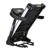 Беговые дорожки Proxima Ivetta HRC Артикул 
