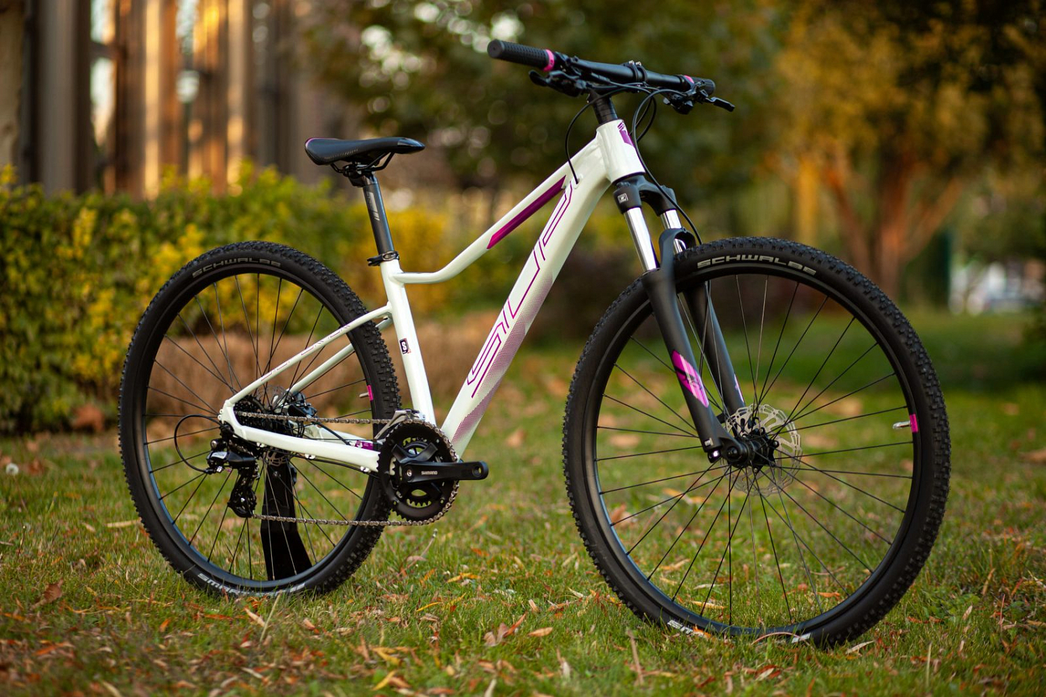 Superior XC 819 W 2024 Gloss White Violet Purple
