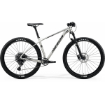 Merida Big.Nine NX Edition 2020 серебряный Горные велосипеды Купить Merida Big.Nine NX Edition 2020 серебряный Артикул